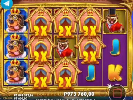 The Dog House — Royal Hunt x1188 Big Win Today